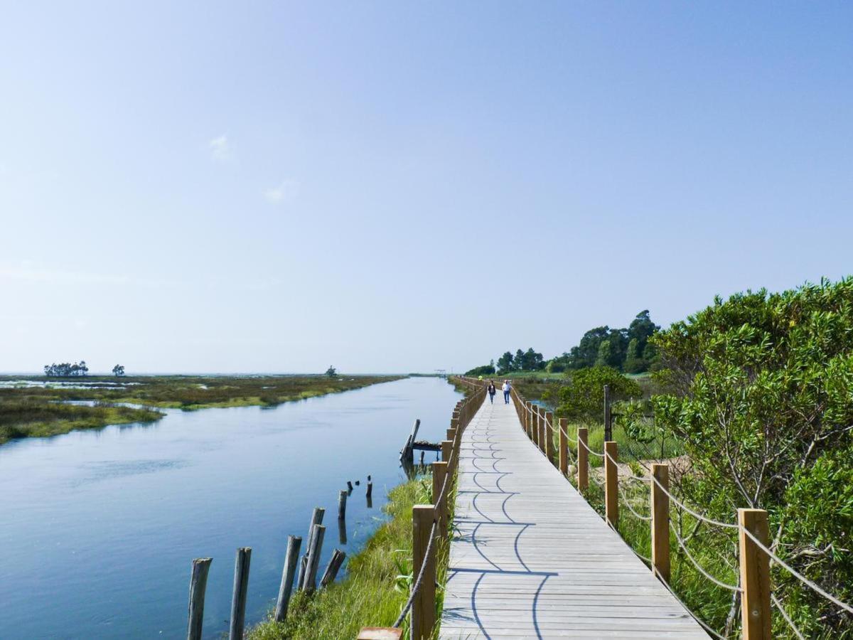 Passadicos Da Ria Apartment Aveiro Ngoại thất bức ảnh
